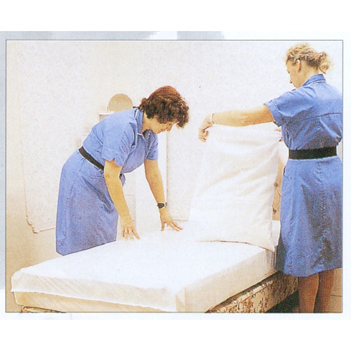 Incontinence Aids Dritech Draw Sheets Independence