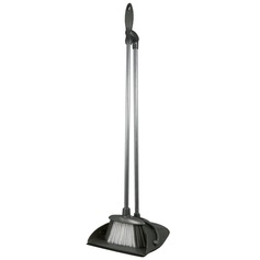 Long Handled Dustpan and Brush